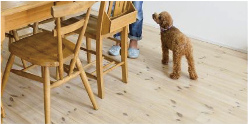 素材のメリット｜アルネットホーム