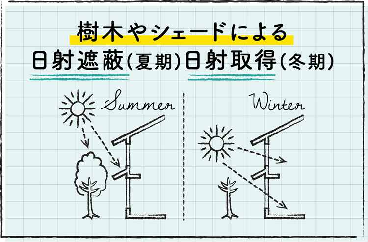 樹木やシェードによる日射遮蔽（夏期）日射取得（冬期）