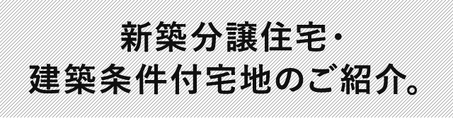 新築分譲住宅・建築条件付宅地のご紹介。