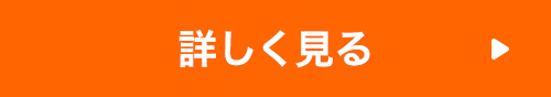 詳しく見る