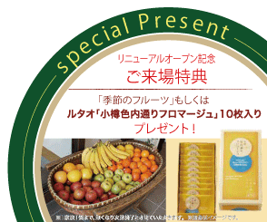 ご来場特典